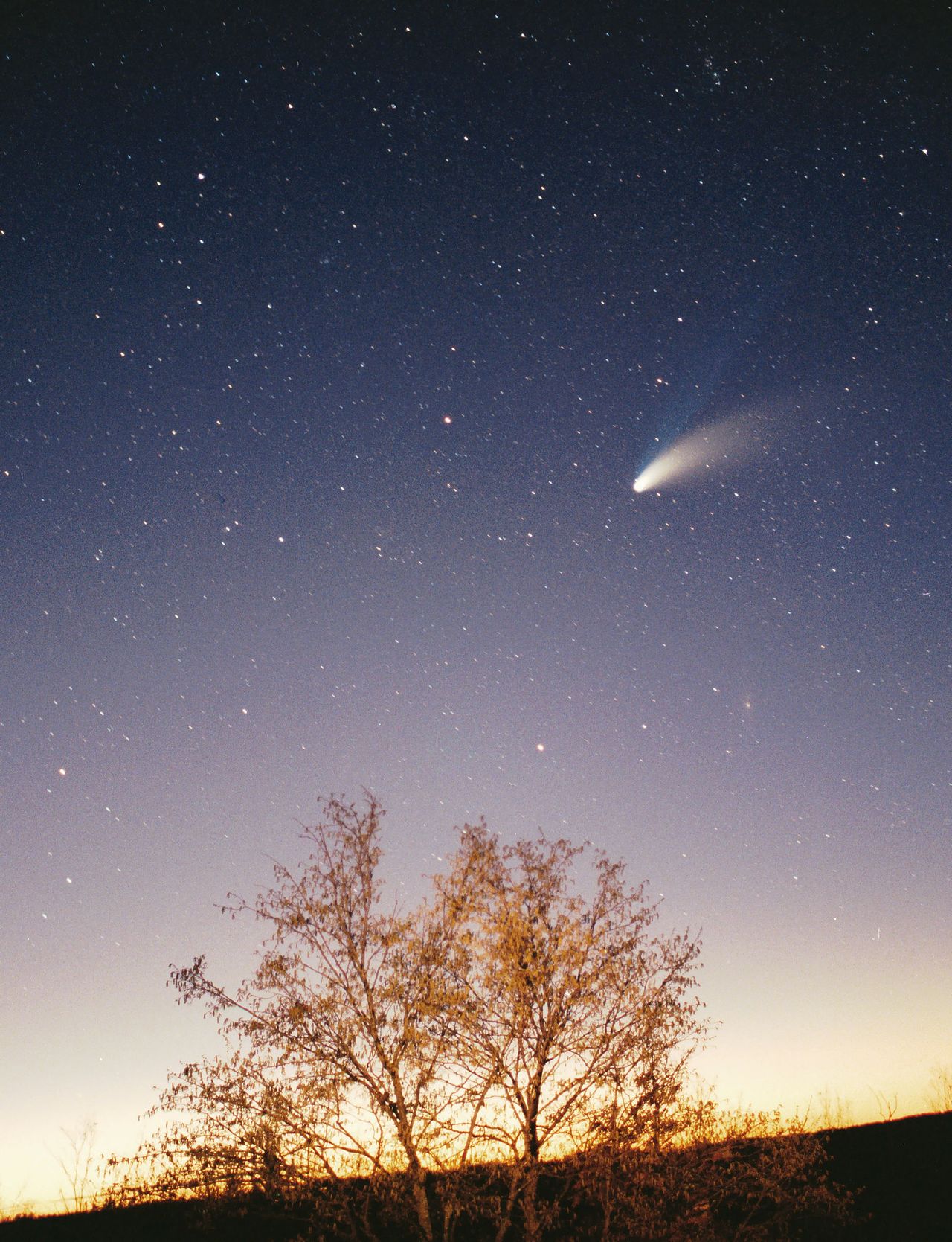 Hale-Bopp Comet