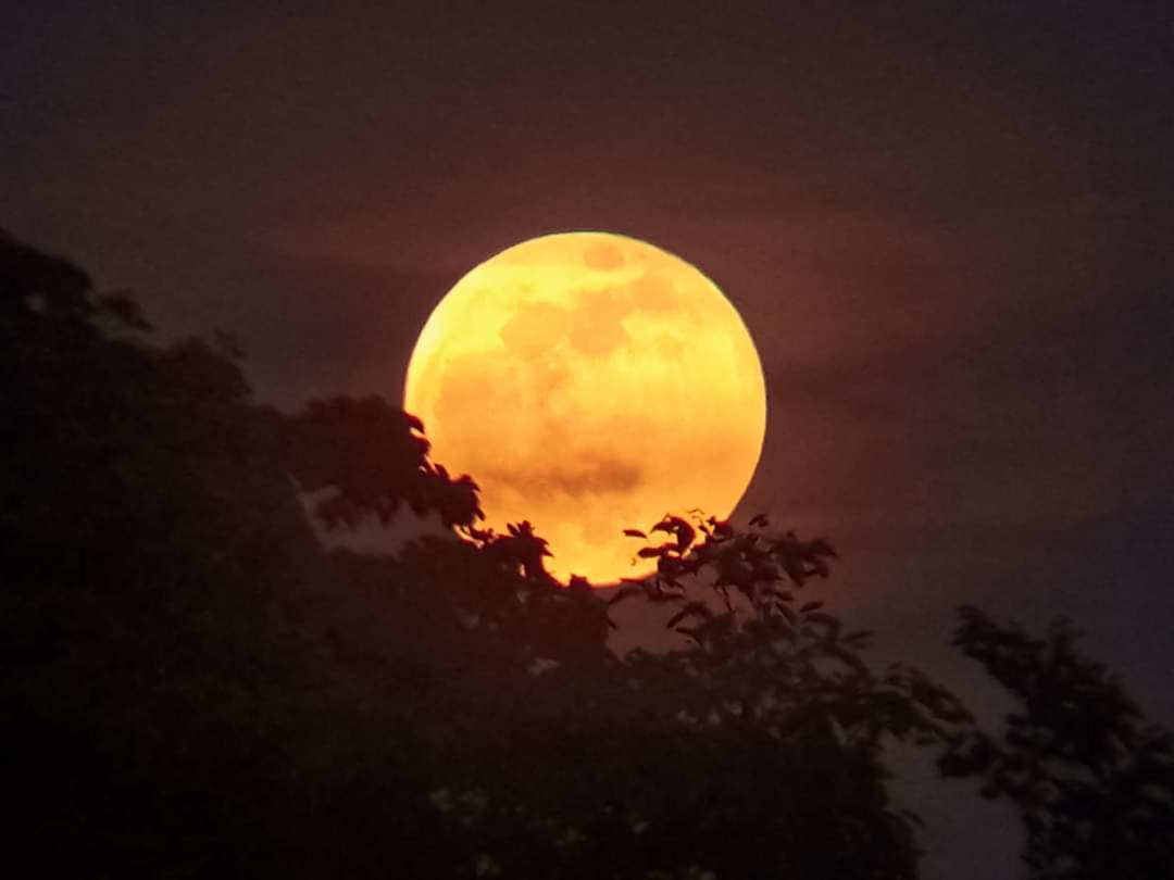 Hunter's Moon on Oct 17 by Fritz Gonzales Sorinio