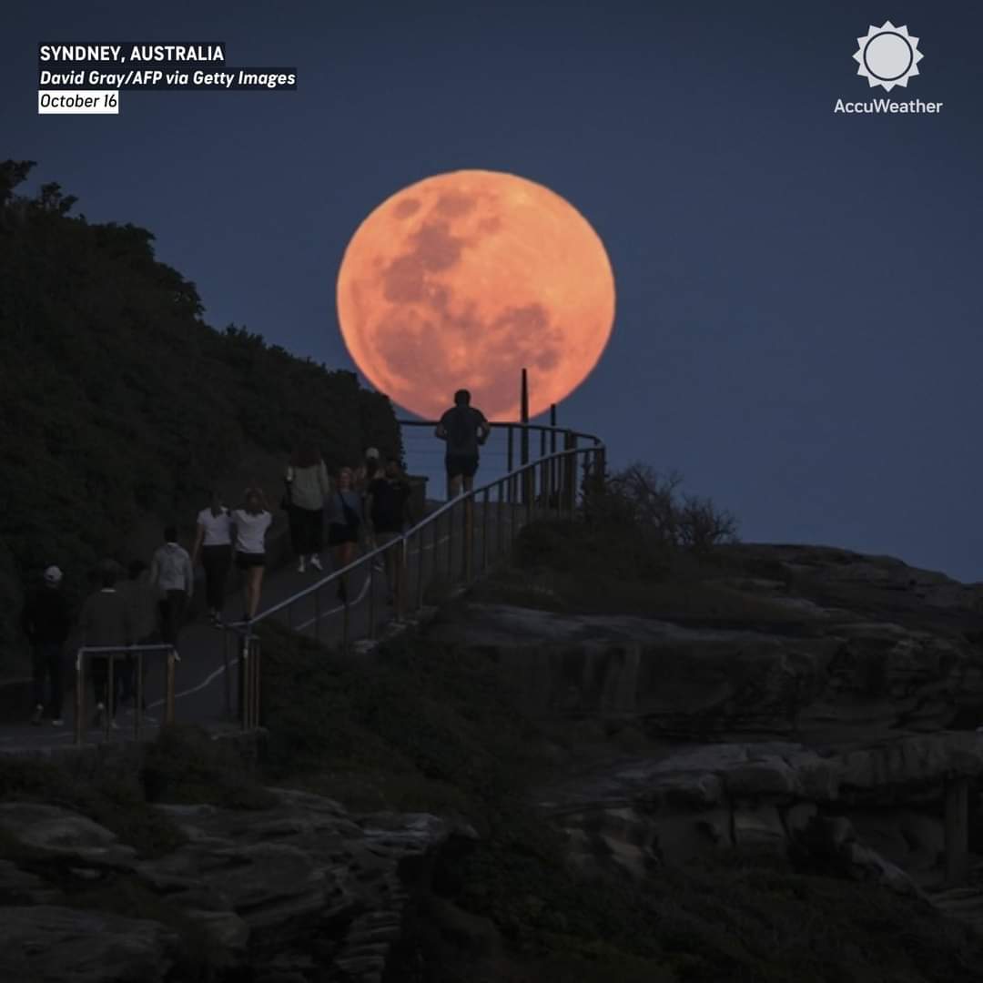 Hunter's Moon on Oct 16 by David Gray in Sydney, Australia.