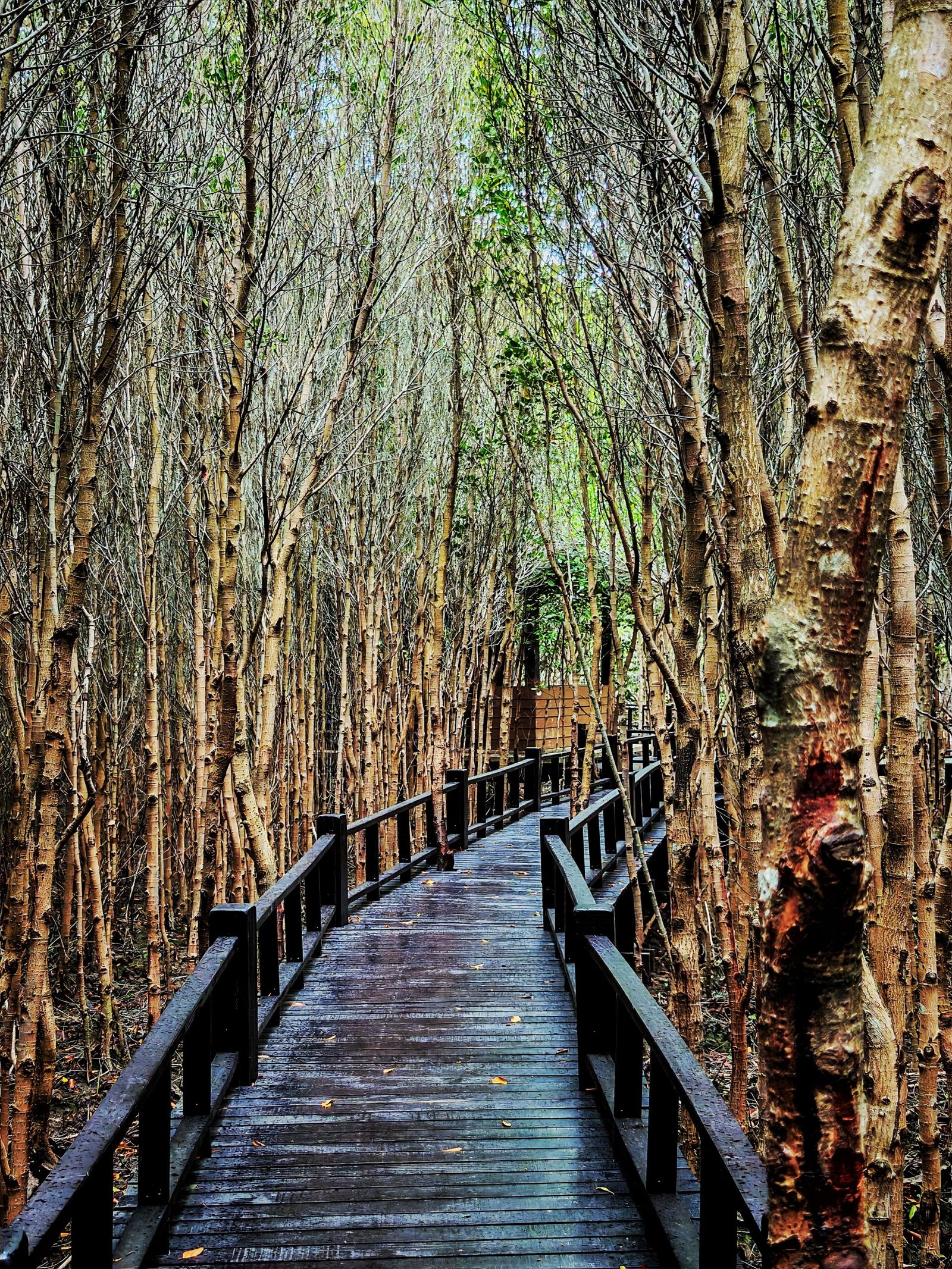 Pranburi Forest Park