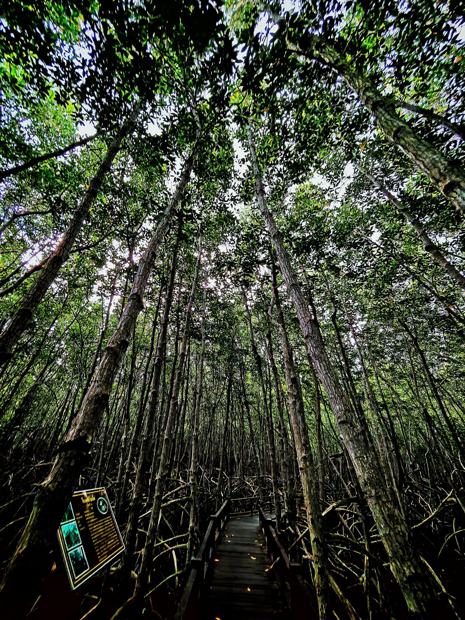 Pranburi Forest Park
