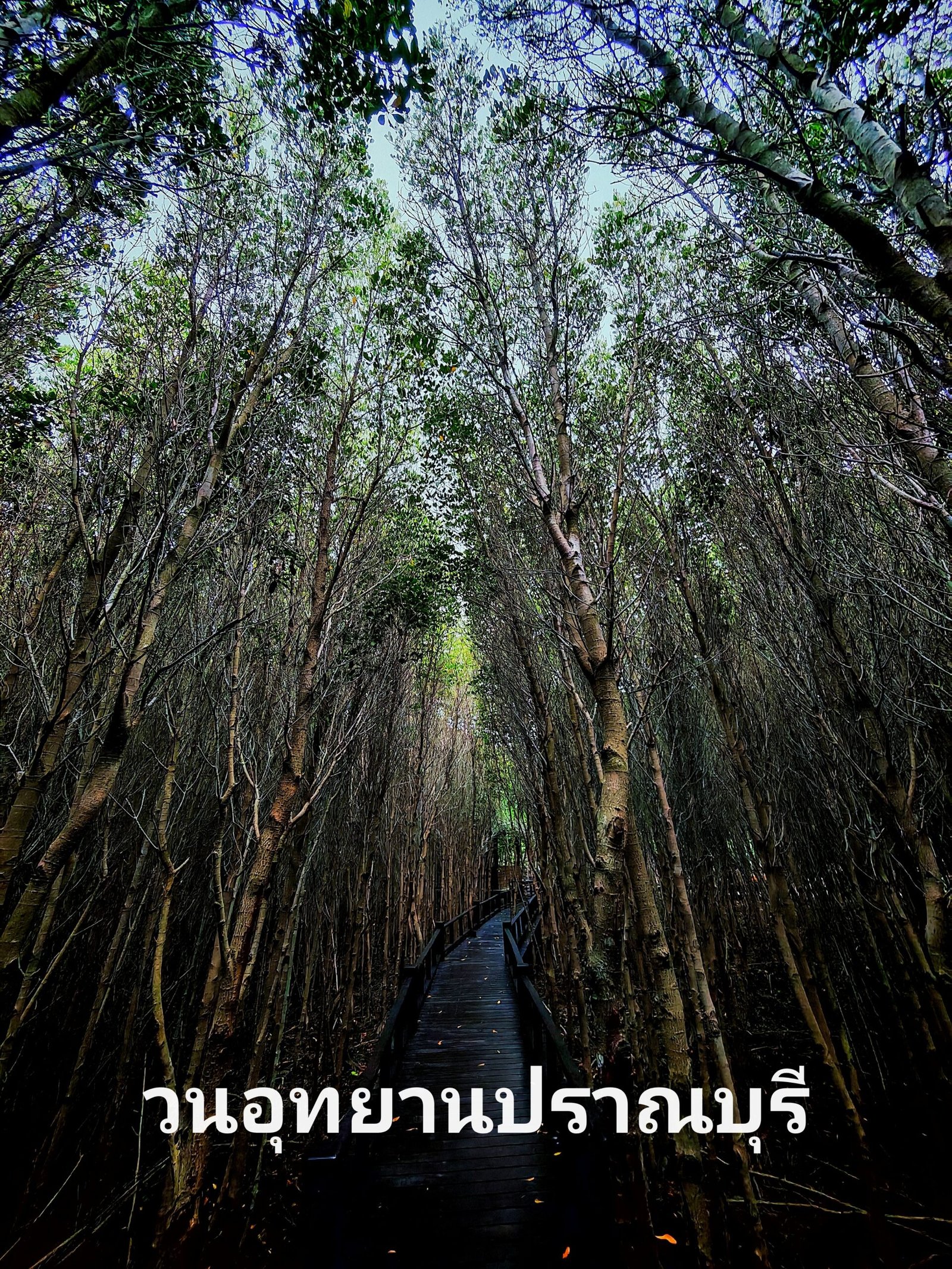 Pranburi Forest Park