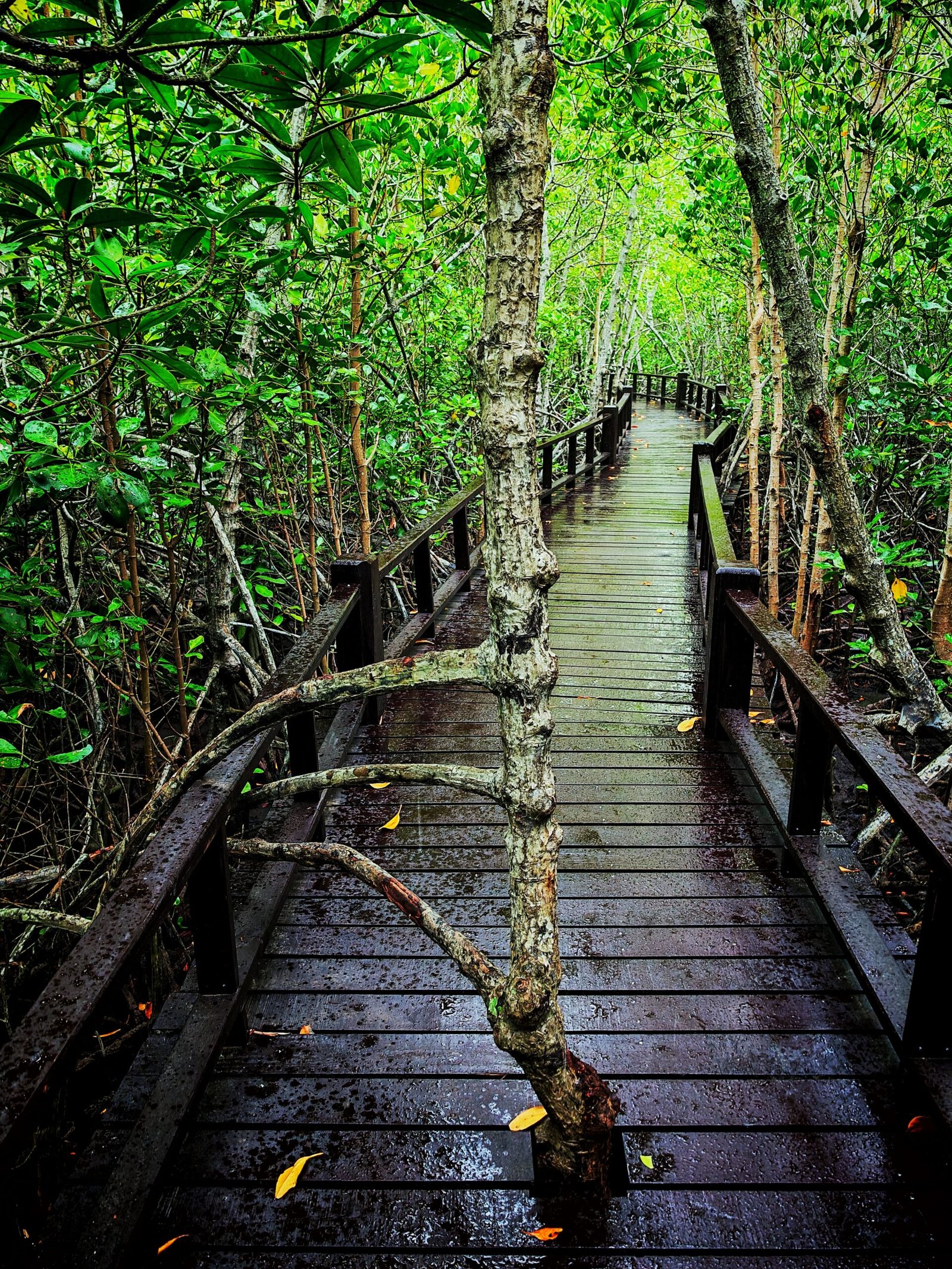 Pranburi Forest Park