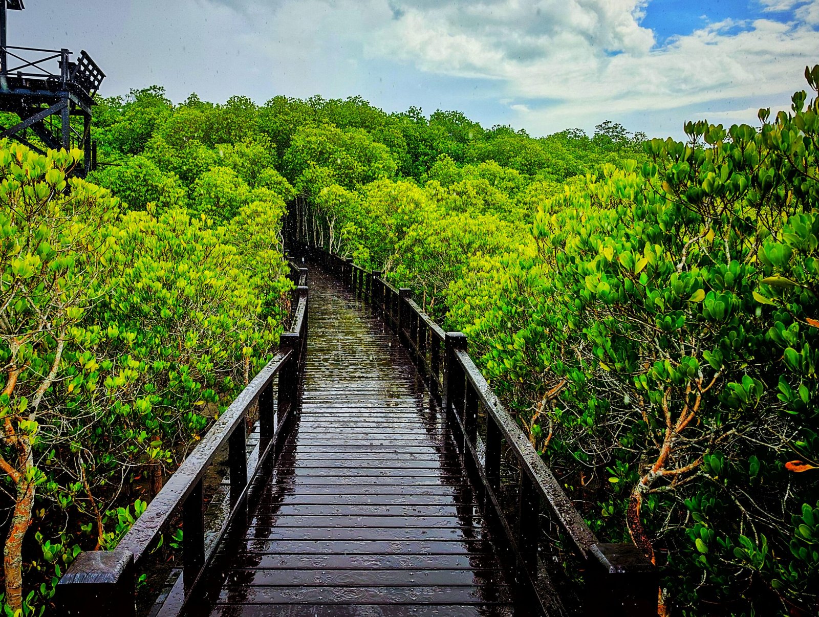 Pranburi Forest Park