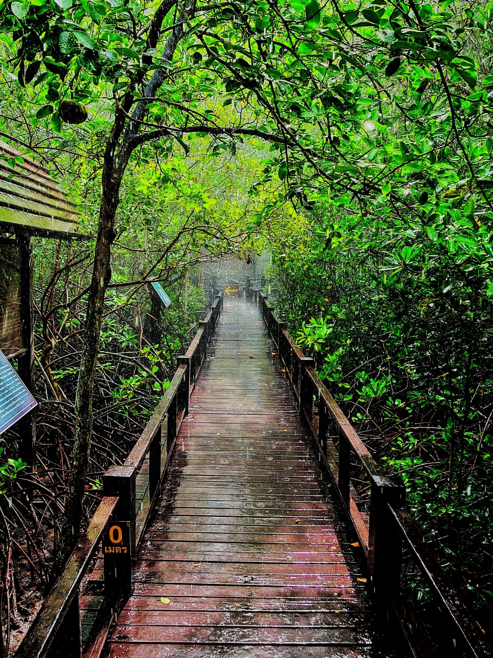 Pranburi Forest Park